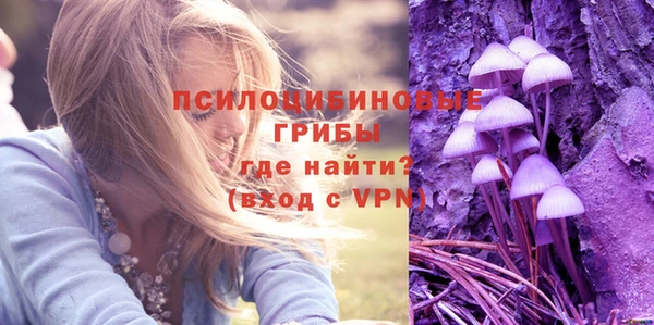 прущие крисы Алексин