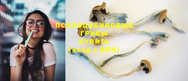стафф Абаза