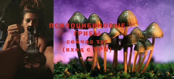 стаф Приозерск