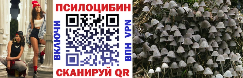Псилоцибиновые грибы Psilocybe  kraken онион  Камышлов 