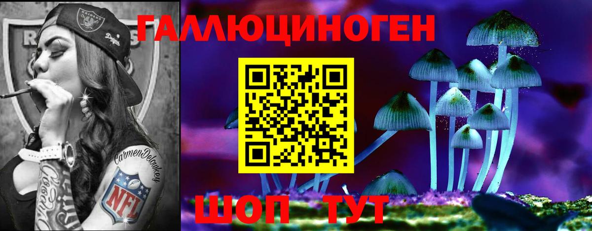 Псилоцибиновые грибы MAGIC MUSHROOMS  Вход с VPN  Галлюциногенные грибы GOLDEN TEACHER  Камышлов 