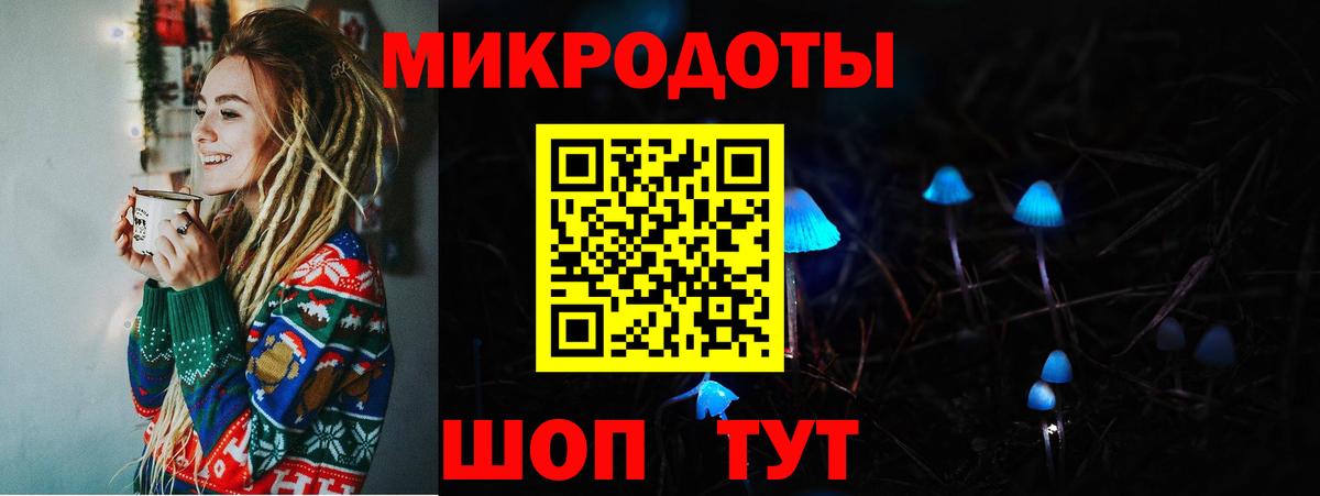 Галлюциногенные грибы мухоморы Камышлов